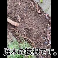 画像399