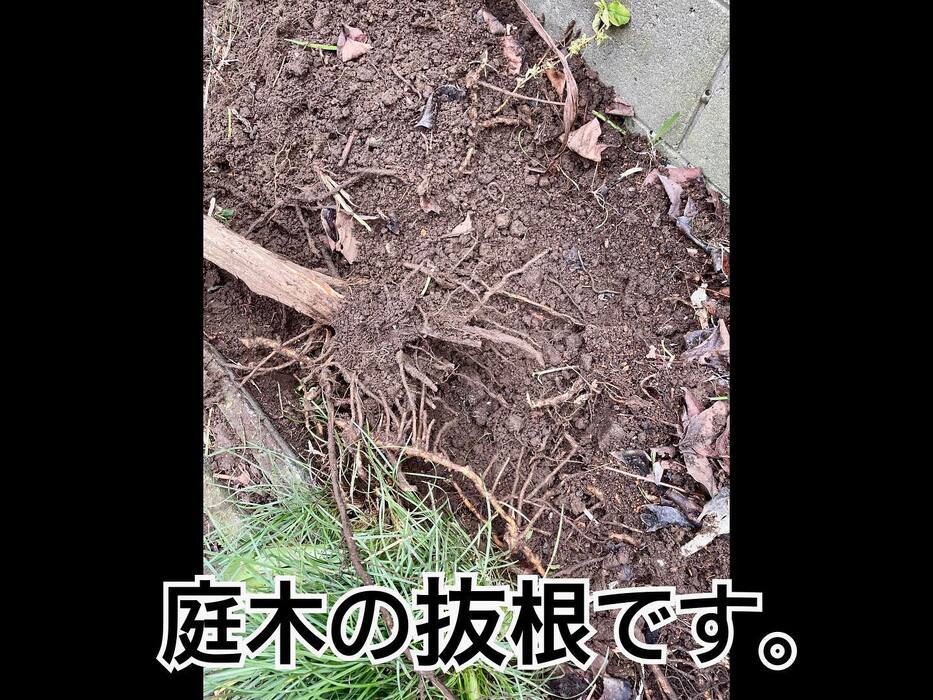 画像399