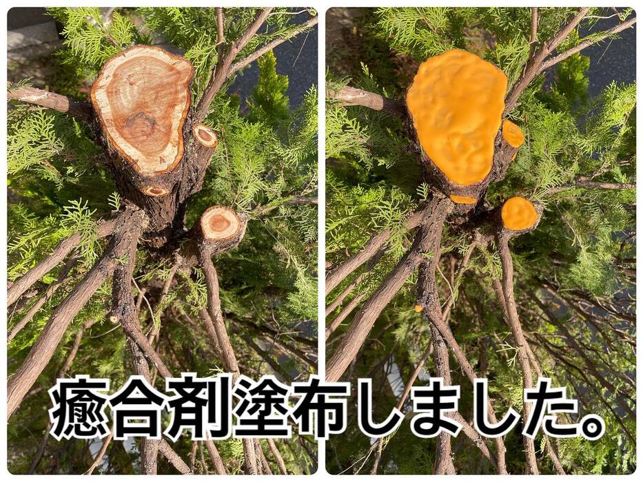 画像420