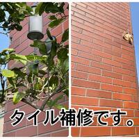 画像447