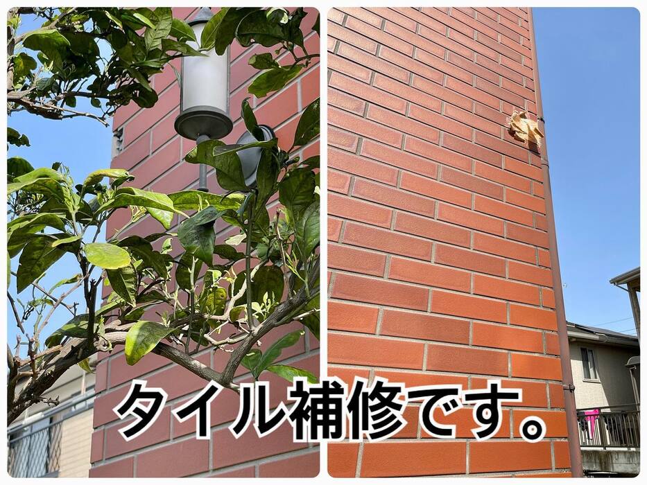 画像447