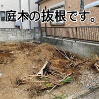画像451