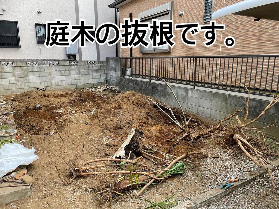画像451